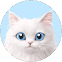 Esther Lisa profile picture